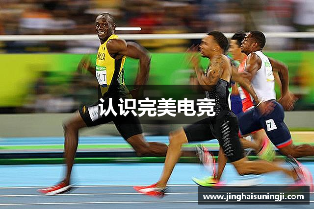 认识革面敛手网